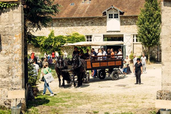 Retour en image sur l'édition 2024 du Brunch BMW ! | image 2