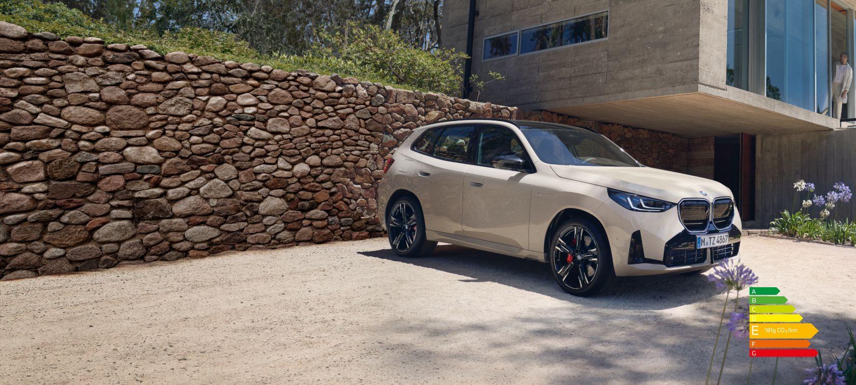 THE NEW X3.